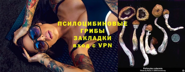 гашиш Абаза