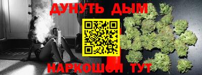 дживик Можга
