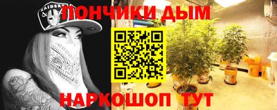 дживик Можга