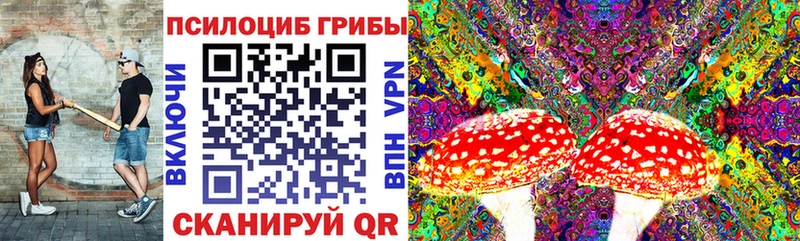 Галлюциногенные грибы MAGIC MUSHROOMS  наркота  Тольятти 
