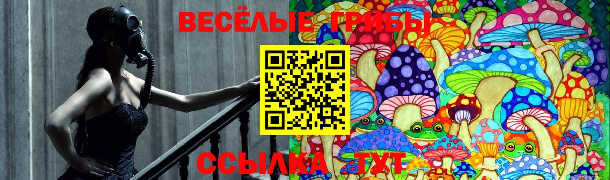 Галлюциногенные грибы GOLDEN TEACHER  Вход с VPN  Псилоцибиновые грибы GOLDEN TEACHER  Тольятти 